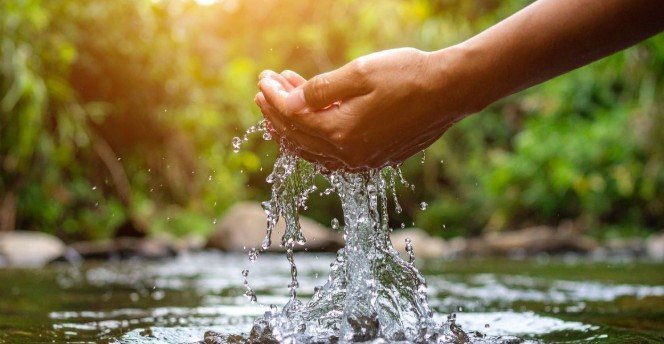 The Importance of Purification